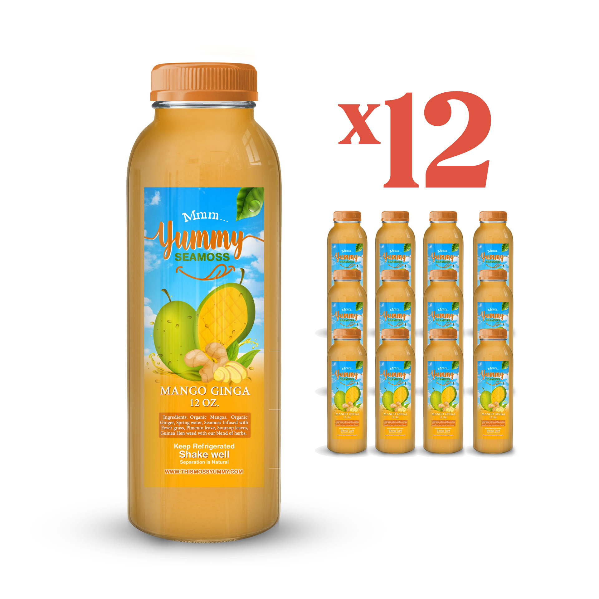 Mango Ginger view 2